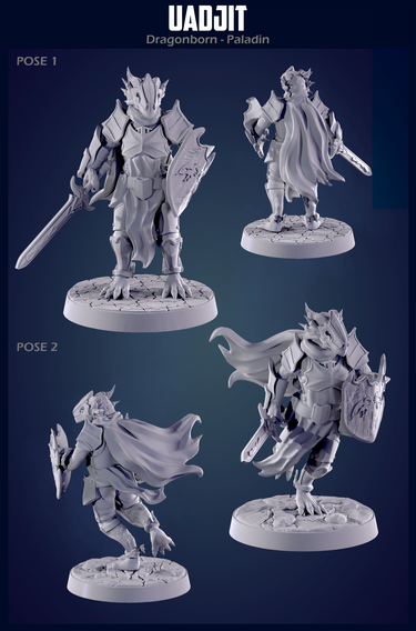 Uadjit the Dragonborn Paladin